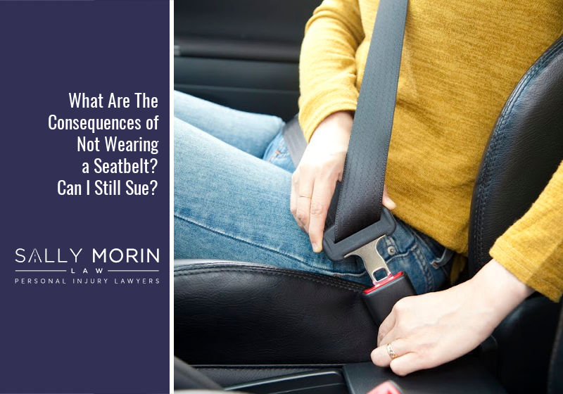 seat belt laws